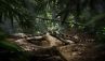 Land Rover Experience Tour 2008: Abenteuer in Malaysia � Bewerbungsphase l�uft!